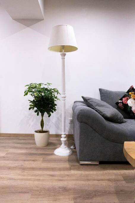 Appartement Le Loft d'Alsace, Wifi,TV,Parking,70 m2 à Ettendorf Extérieur photo